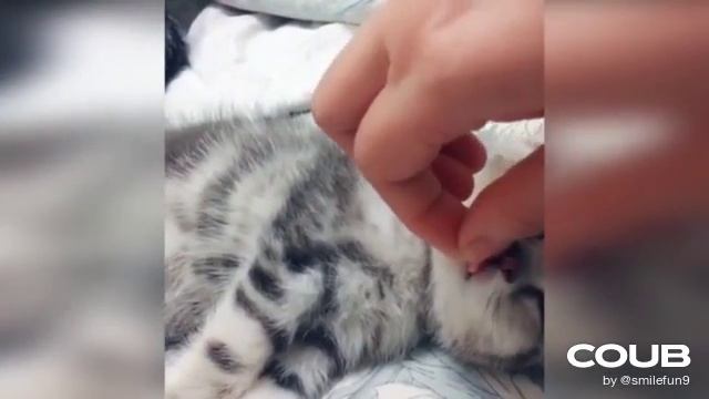 1608474564_looped_1608474562.mp4 смотреть онлайн