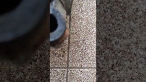 Ремсервис "Manon" Разборка котла Viessmann Витопенд 100 на чистку.