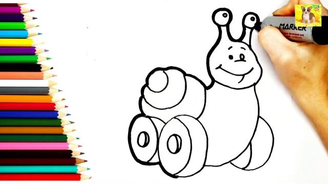 Как нарисовать Улитку.Раскраска для малышей.Улитка. смотреть онлайн