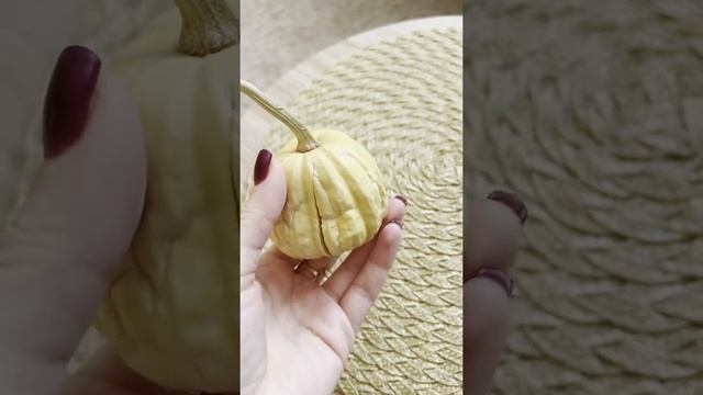 Мини тыква Бэби Бу семена смотреть онлайн