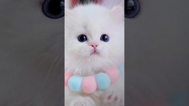 То сонг, что был в моих прошлых ролика￼х, исчез на функции Remix. Теперь вот…￼ смотреть онлайн