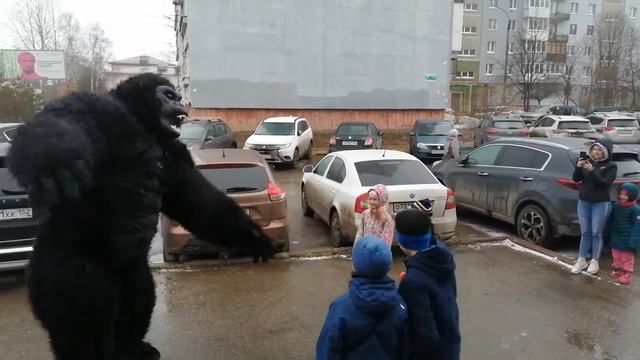 И с Кингом можно отдохнуть весело 🥳 смотреть онлайн