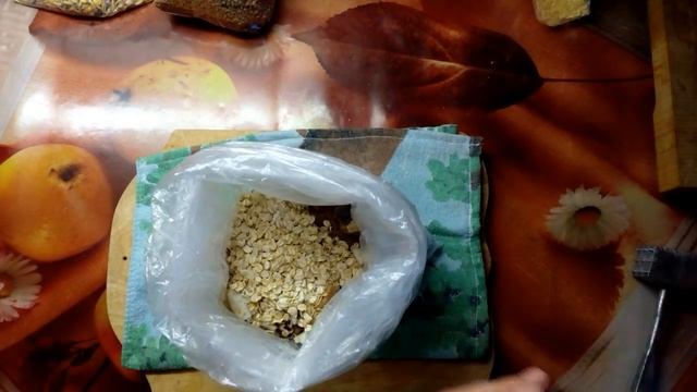 Чем покормить птиц зимой))) смотреть онлайн