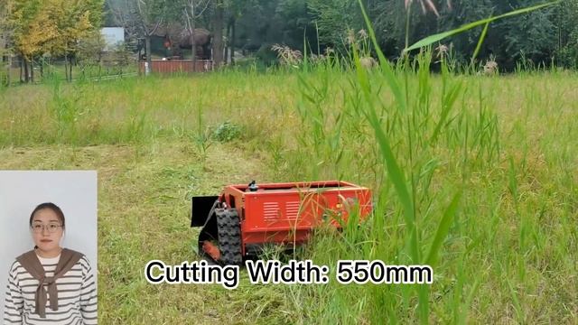 Radio Controlled Bush Trimmer China Manufacturer Factory Supplier Wholesaler