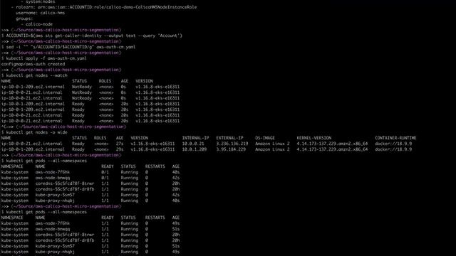 Up and running with Calico Host Micro-segmentation on AWS смотреть онлайн
