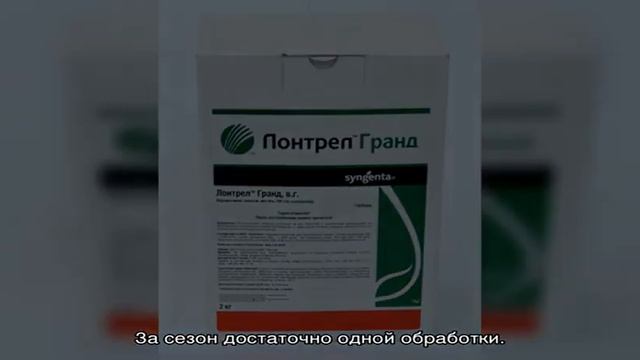 Гербицид Лонтрел Гранд — какие сорняки ему под силу смотреть онлайн