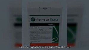 Гербицид Лонтрел Гранд — какие сорняки ему под силу