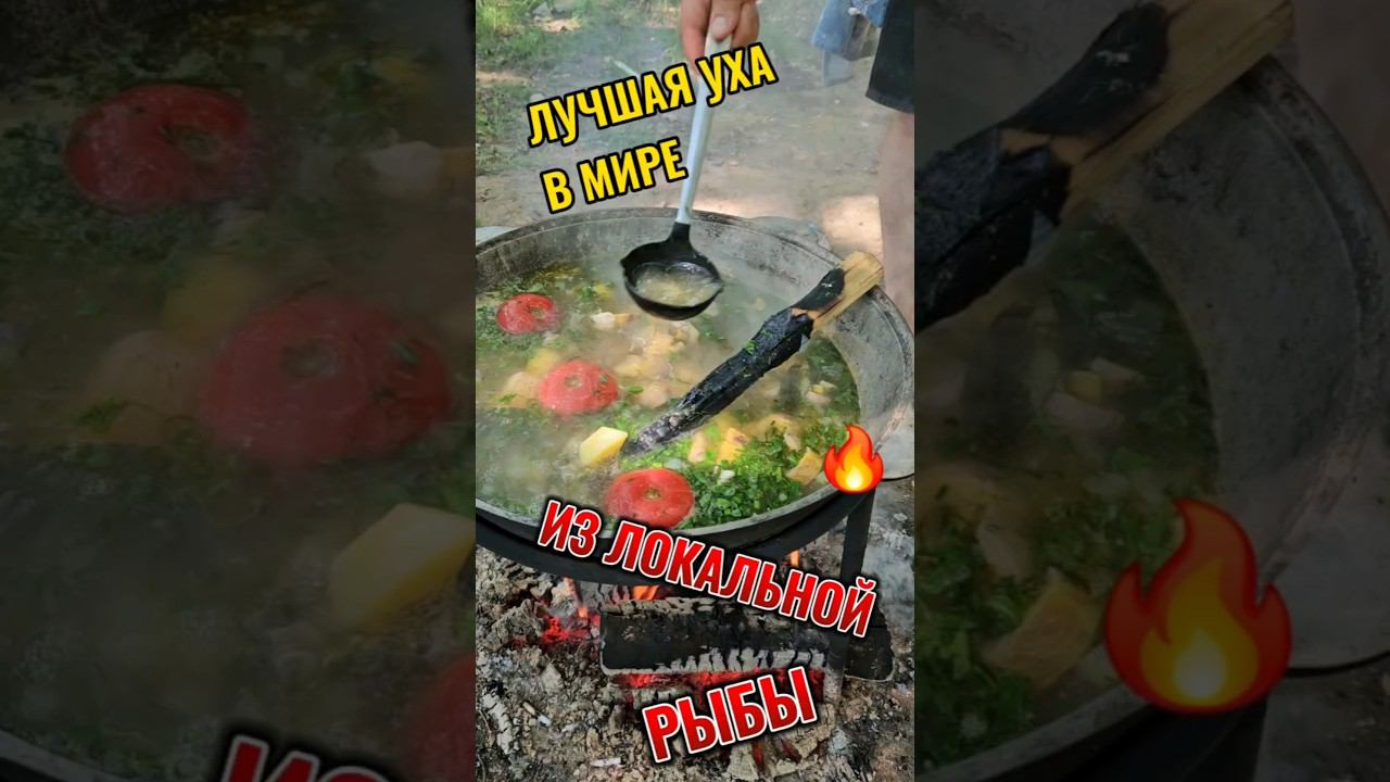 99% людей НИКОГДА не ели такую УХУ. Приготовили ножами Сковородихина #ножи #кулинария #рецепты #рыба смотреть онлайн