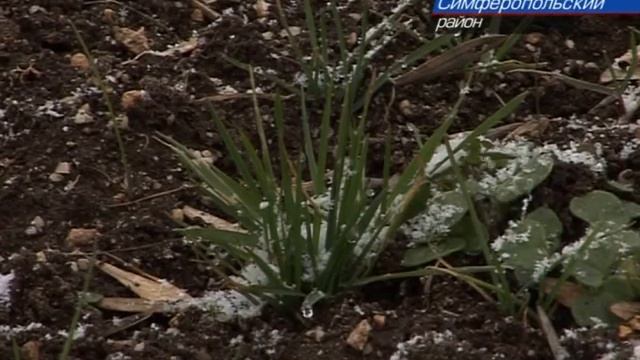 Будет ли в Крыму урожай? смотреть онлайн