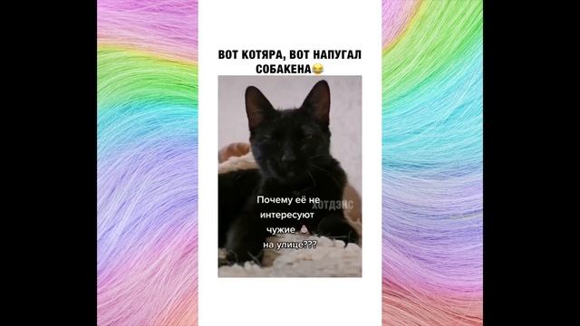 Подборка лучших роликов из Инстаграма #4 смотреть онлайн