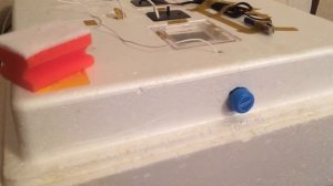 инкубация утиных яиц часть 2