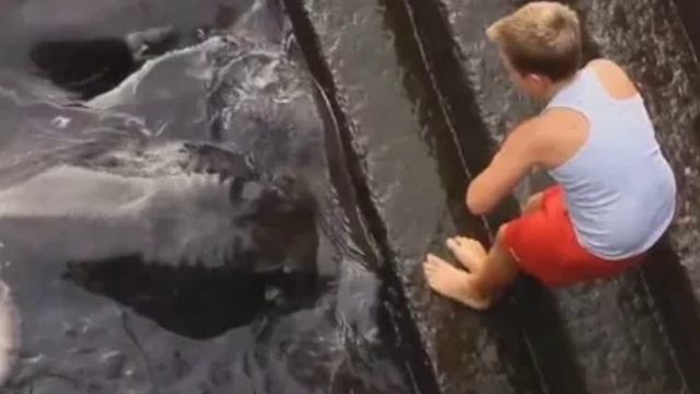 Мальчик кормил рыбок водой, когда вдруг что-то выплеснулось. просить помощи ! смотреть онлайн