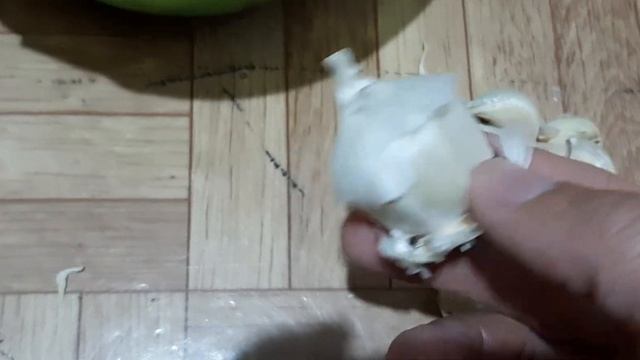 Как посадить чеснок смотреть онлайн