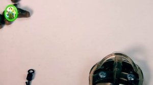 Коннектор для фидерного поводка - как быстро поменять поводок