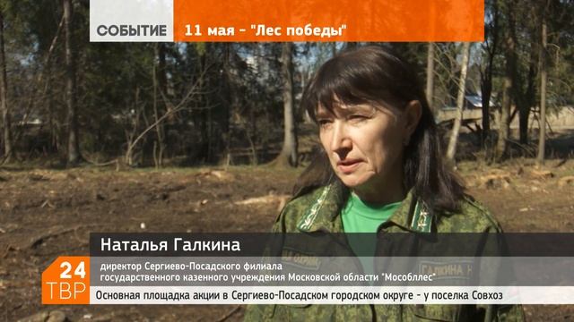 Трёхлетние ёлки держат в холодильнике до посадки 11 мая | Сергиево-Посадский городской округ смотреть онлайн
