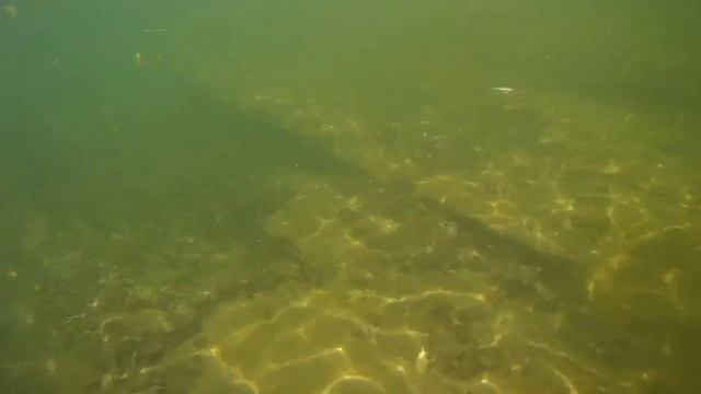 Дагомыс/Дагомысские корыта/Сочи 2020