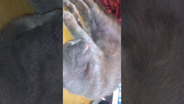 крепкий сон смотреть онлайн