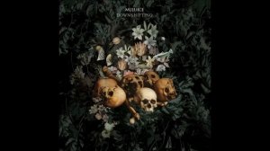 Mujuice - Приключения