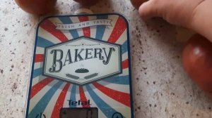 сорт томата СМУГЛЯНКА теперь каждый год буду сажать. Устойчивый к заболеваниям, крупные, мясистые.