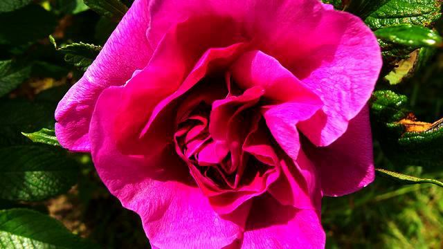 русская музыка для души смотреть онлайн