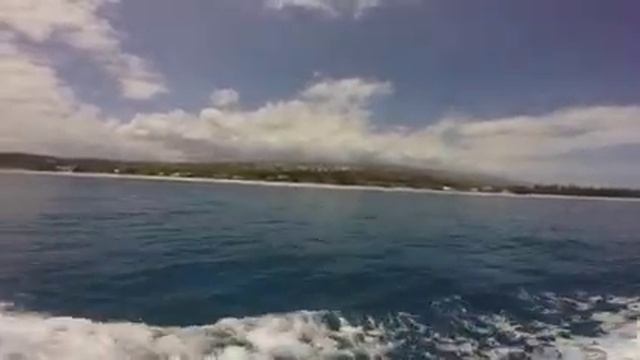 L'île de la Reunion vue de l'océan indien Safari Dauphin смотреть онлайн