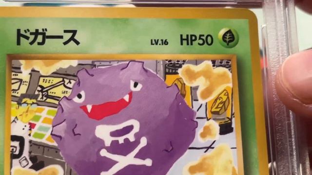 Pokémon 100 Card PSA Graded Return! : #7- Part 2 $1500 in grading fees VINTAGE SUB смотреть онлайн
