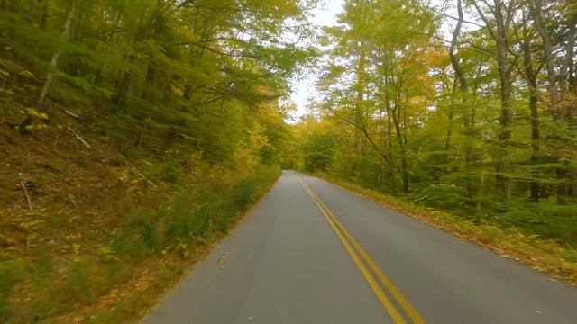 Beautiful Autumn Scenery Of New Hampshire Roads - Fall Foliage Of New England - Rear View (4K 60fps)