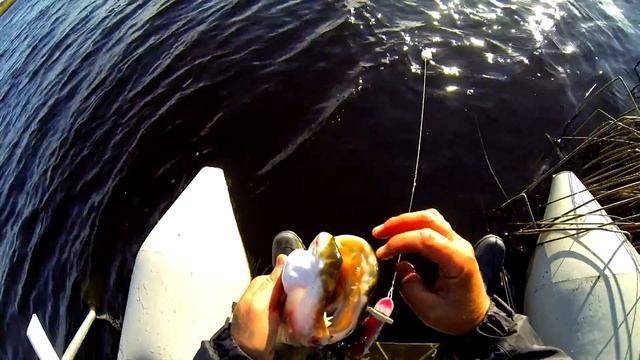 Fishing for BIG MONSTER PIKE: how to catch it with a lure. Рыбалка как поймать щуку монстра смотреть онлайн