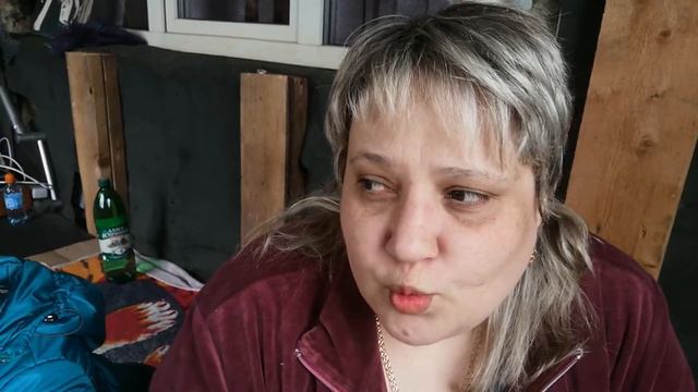 VLOG ПОСАДИЛИ ЛАВРОВЫЙ ЛИСТ смотреть онлайн