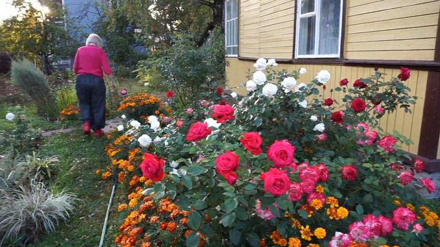 3 февраля 2023 г. смотреть онлайн