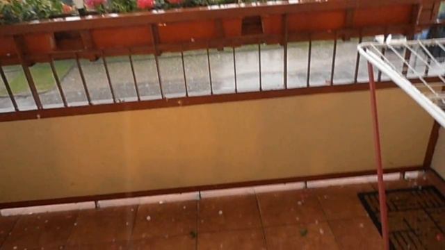 Grad kontra pelargonie смотреть онлайн