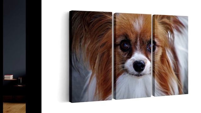 Куче Папийон - пано за стена смотреть онлайн