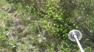 Делаем Лесоводственный уход. Кусторез STIHL FS 450