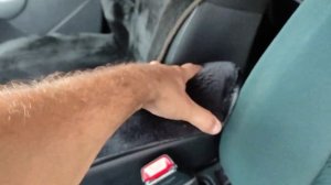 Сиденье от bmw е39 в Рено Дастер рестайлинг