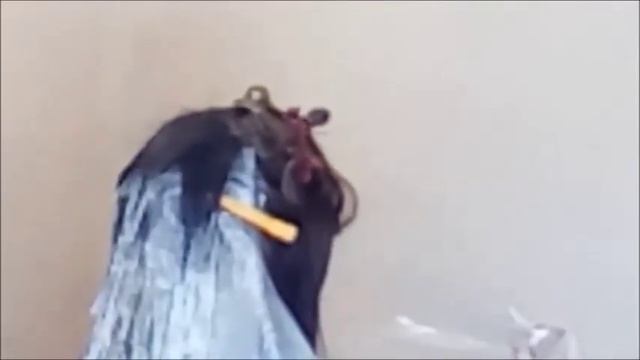 Окрашивание в теплый блонд.