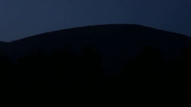 Пение птиц перед зарей Черный дрозд во главе хора) смотреть онлайн