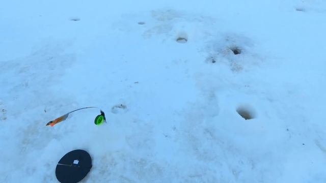 ЖЕРЛИЦЫ ЗАГИБАЮТЬСЯ И СТРЕЛЯЮТ)))! ПОСЛЕДНЯЯ РЫБАЛКА НА ЖЕРЛИЦЫ! МОРОЗНАЯ РЫБАЛКА БЫЛА ЖАРКОЙ)))! смотреть онлайн