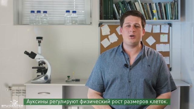 Микроорганизмы на поверхности растений | О МИКРОБАХ ПРОСТО | Часть 5 смотреть онлайн