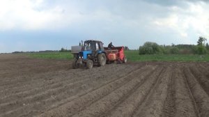 "Беларусы" МТЗ 82 садят картофель в "Гиганте"