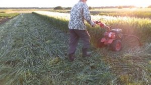 МОТОБЛОК В ДЕРЕВНЕ ?. СТОИТ ЛИ ПОКУПАТЬ?