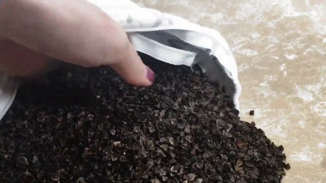 Better Beauty Sleep: Pinetales Organic Buckwheat Pillow with Bamboo Cover смотреть онлайн