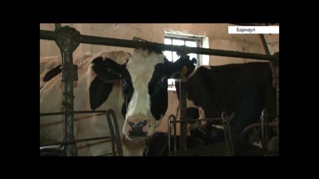 перевод часов смотреть онлайн