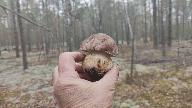 Последние белые в этом сезоне. смотреть онлайн
