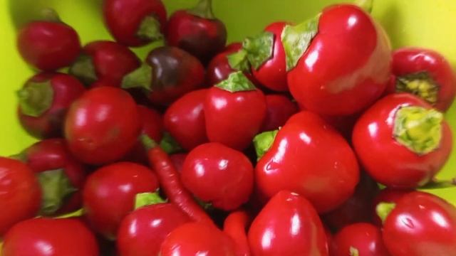 Домашний кулинар