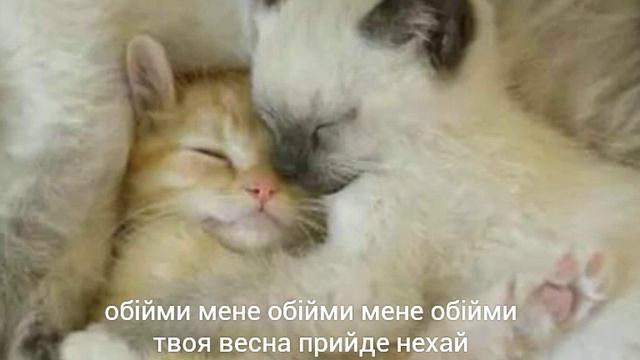 Океан Ельзи - Обійми смотреть онлайн