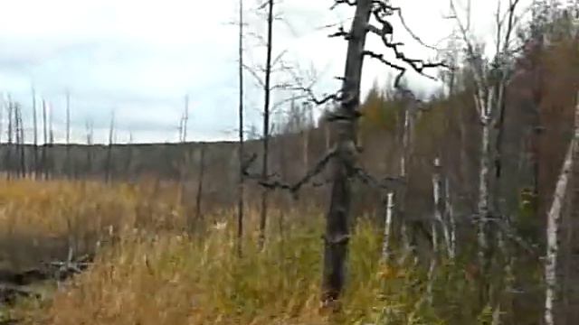 Сброс отходов на золоотвале Северской ТЭЦ. (2008 10 12) смотреть онлайн