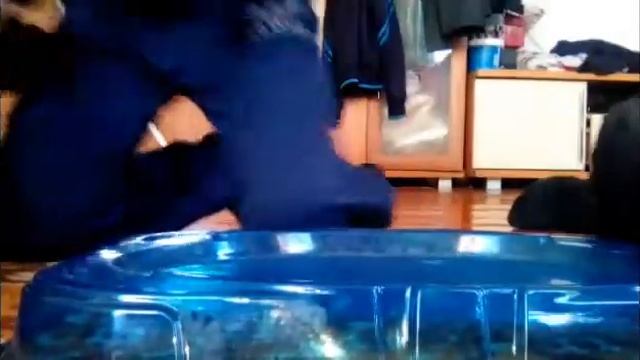 Бей блэйд я и чёрный ворон vs Тритон и Данила смотреть онлайн