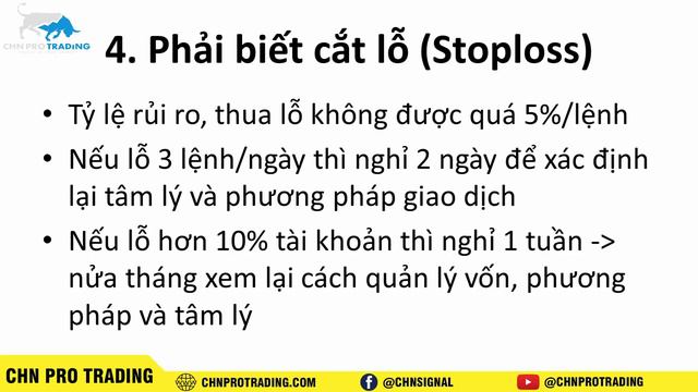 8 Mẹo Quản Lý Vốn Khi Giao Dịch Forex - Đầu Tư Forex Phải Biết | CHN PRO TRADING смотреть онлайн