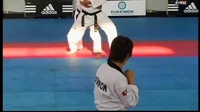 Le Taekwondo au paus du matin calme. смотреть онлайн