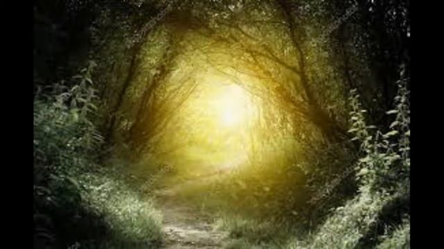 100% похудение с помощью гипноза смотреть онлайн